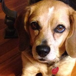 Meet your Posher, Christine